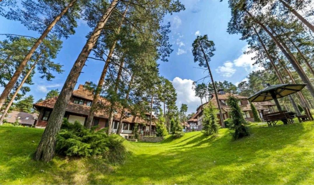 Apartamento Kraljevi Konaci Olja Zlatibor Exterior foto